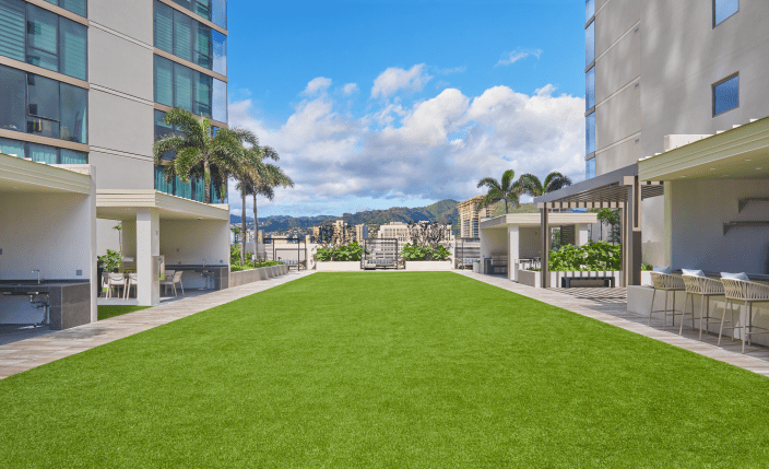 Waikiki jayme lamm
